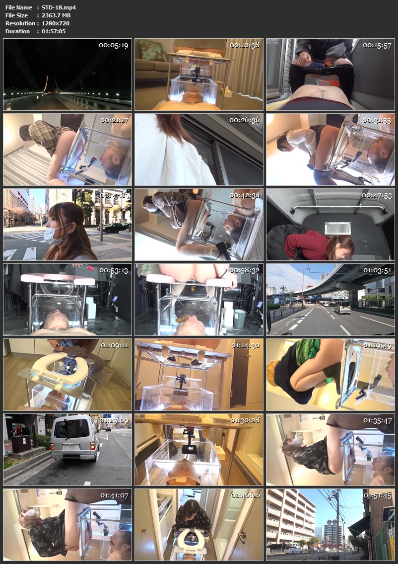 Screenshot or [STD-18] デリバリー生体家具〜YAMADA便器2〜一般公募お嬢様?便槽初使用編 Defecation 肉便器道 Humiliation 2022/02/25
