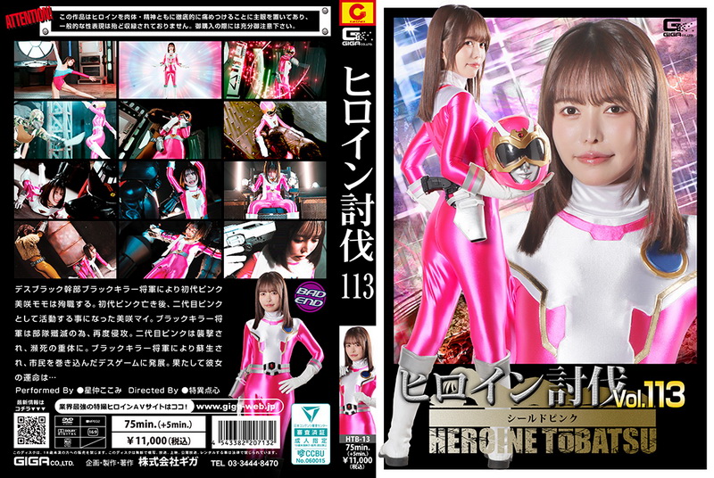 Poster or HTB-13 Kokomi Hoshinaka (星仲ここみ) Heroine Suppression Vol.113 Shield Pink GIGA（ギガ）2026-05-22