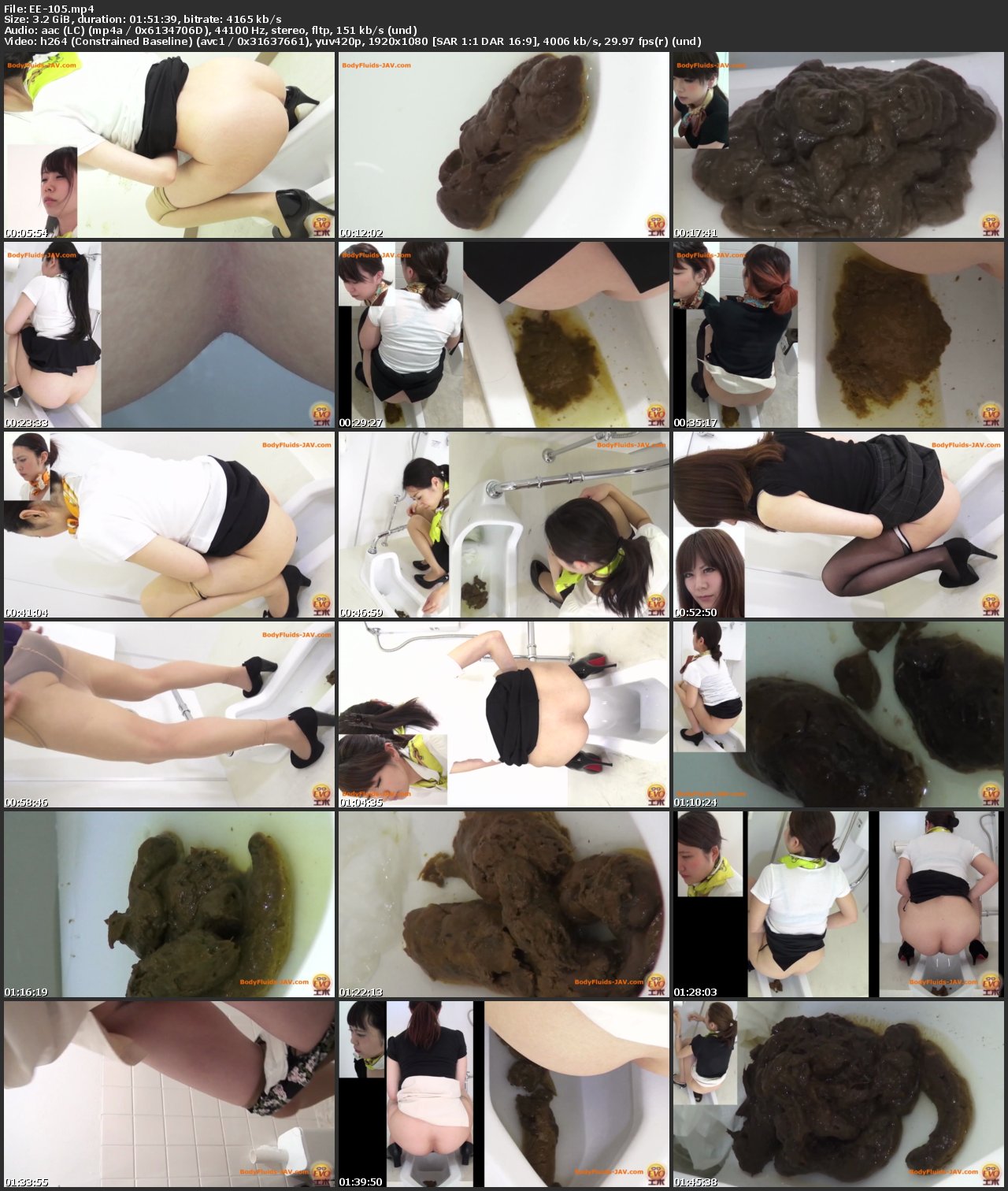 Screenshot or [EE-105] エボ・ビジュアル 盗視5カメトイレ 美容部員うんこ スカトロ Defecation 112分