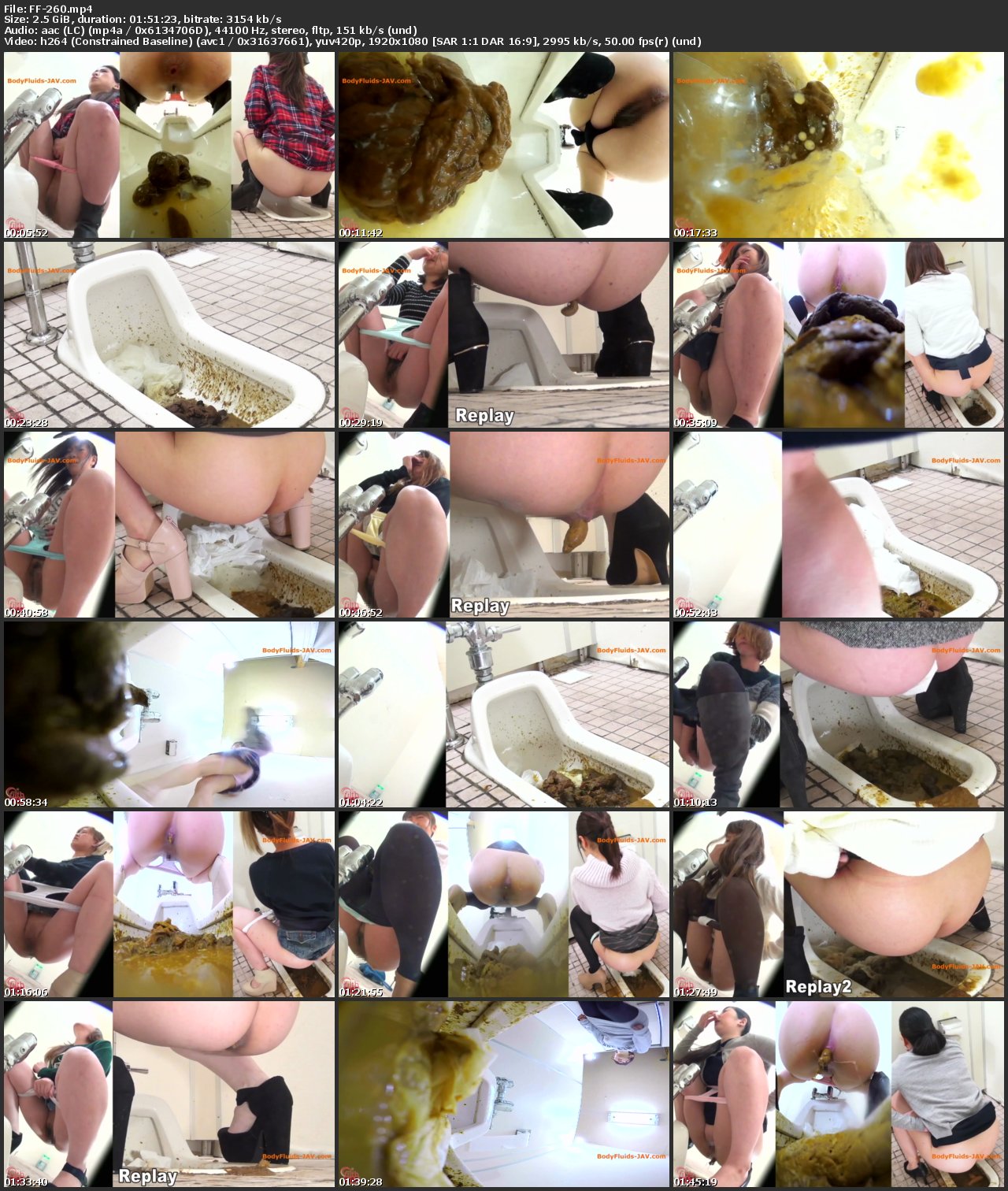 Screenshot or [FF-260] 公衆便所盗撮 流れないウンチ 激臭パニック 三 Defecation Scat 脱糞