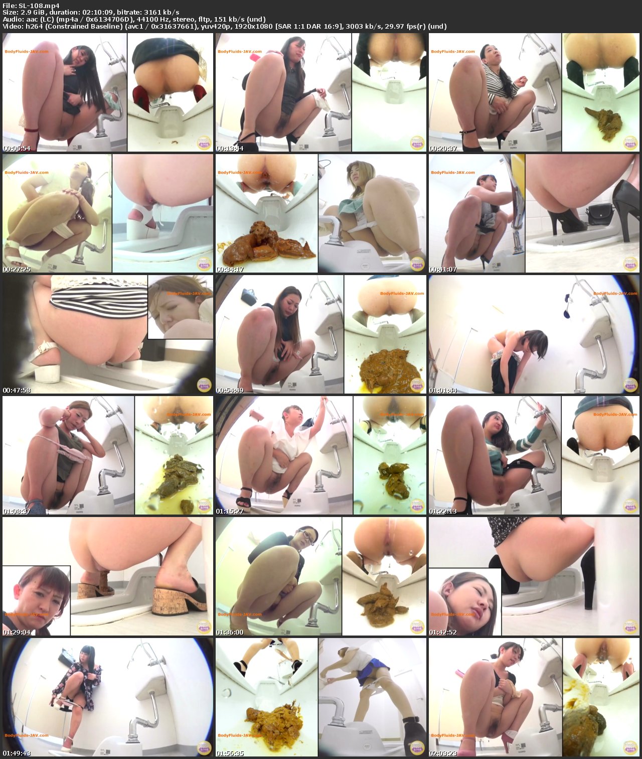 Screenshot or [SL-108] ジェイド 3カメ隠撮限界我慢大便2 ～漏れそなオナラに大小便～ Golden Showers Voyeur 盗撮 脱糞