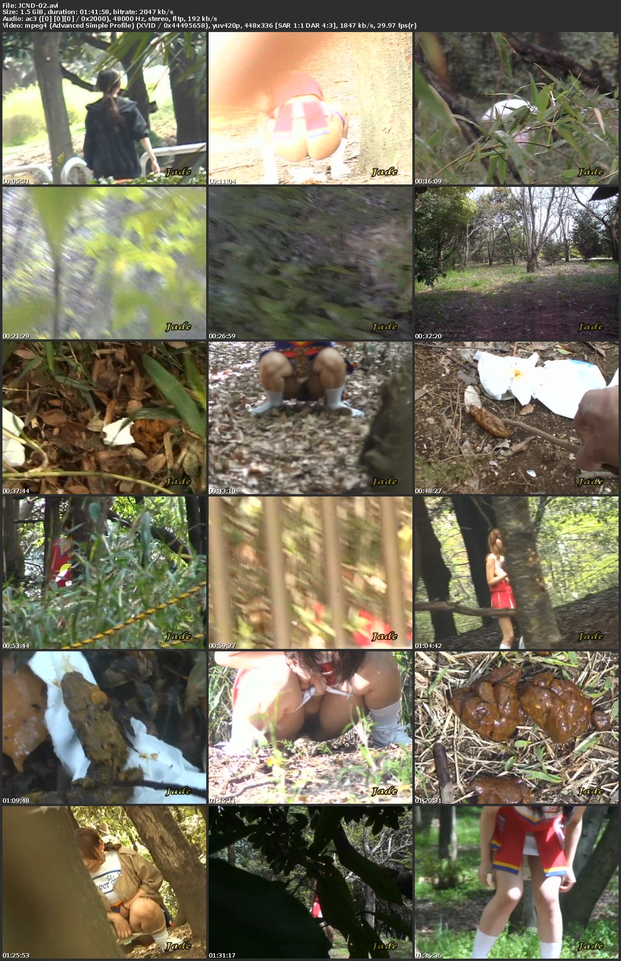 Screenshot or [JCND-02] 隠撮チアガール 野グソ野ション 2 Voyeur Scat 盗撮 Post Other