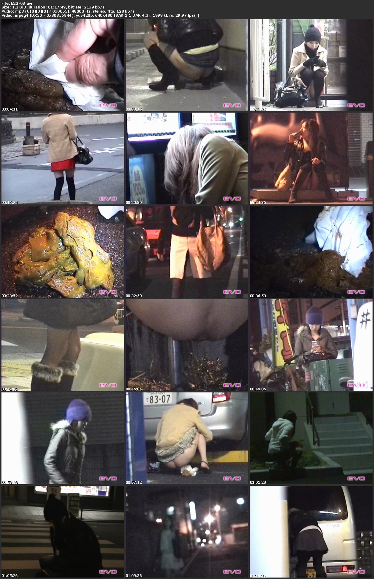 Screenshot or [E22-03] 泥酔女の恥態集　街グソ その他スカトロ その他盗撮 企画 Voyeur