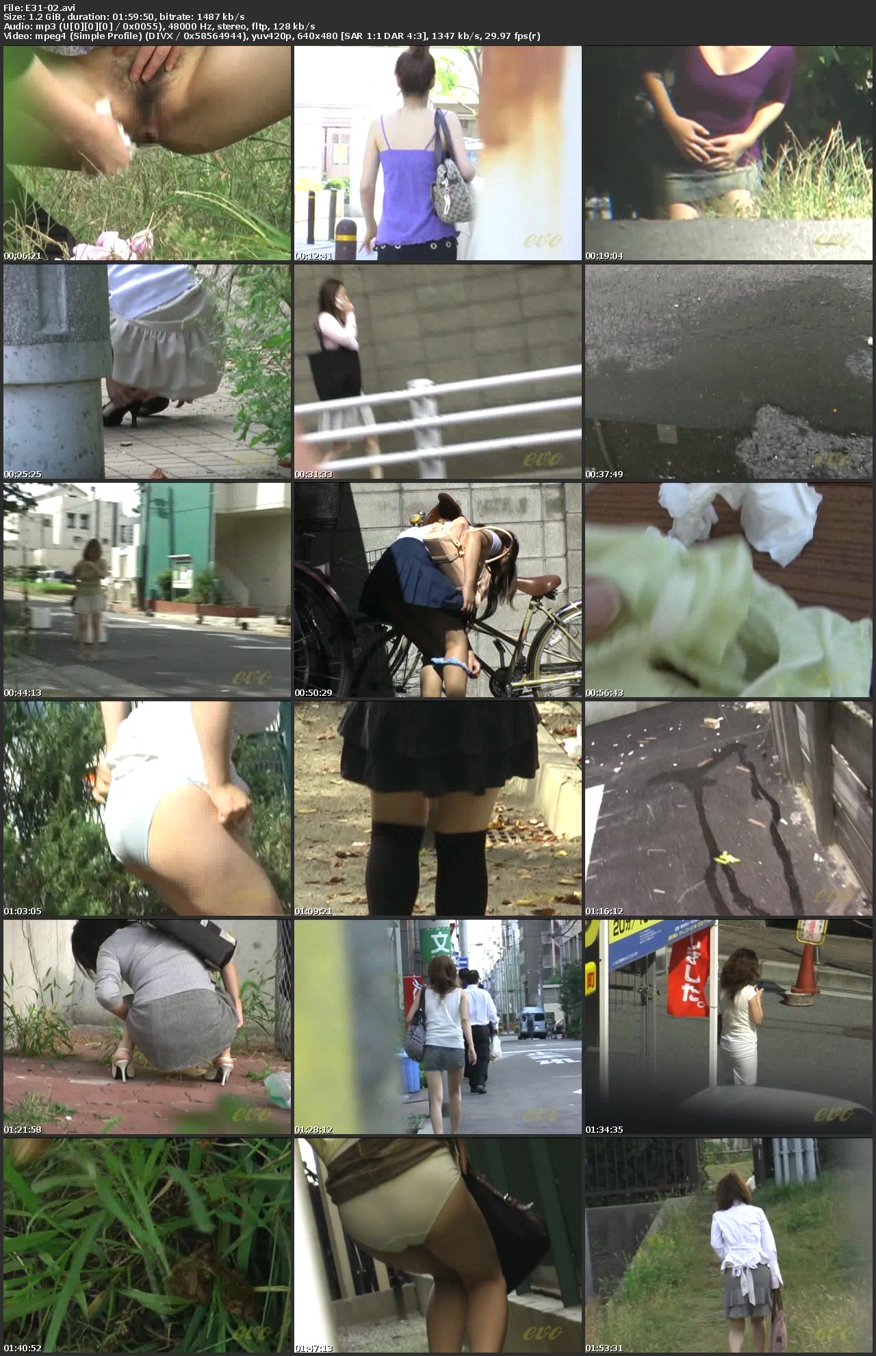 Screenshot or [E31-02] 覗撮 お漏らし失態 野糞 野尿 2 盗撮 その他盗撮 Golden Showers スカトロ 投稿